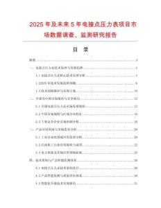 2025年及未來5年電接點壓力表項目市場數據調查、監測研究報告