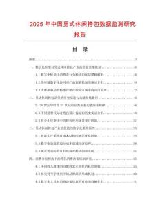 2025年中國男式休閑挎包數據監測研究報告
