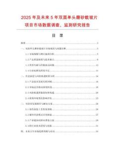 2025年及未來5年雙面單頭磨砂載玻片項目市場數(shù)據(jù)調(diào)查、監(jiān)測研究報告