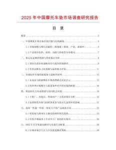 2025年中國摩托車墊市場調(diào)查研究報告