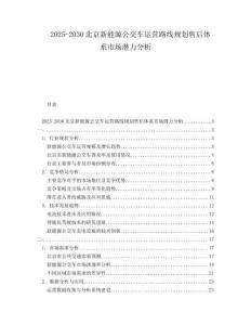 2025-2030北京新能源公交車運(yùn)營路線規(guī)劃售后體系市場潛力分析