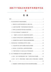2025年中國鐵水取樣器市場調查研究報告
