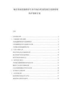 城市基礎設施維護行業市場分析深度報告道路橋梁養護策略方案