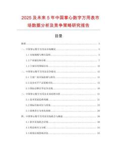 2025及未來5年中國掌心數(shù)字萬用表市場數(shù)據(jù)分析及競爭策略研究報告