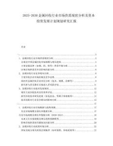 2025-2030金屬回收行業(yè)市場供需現(xiàn)狀分析及資本投資發(fā)展計劃規(guī)劃研究匯報