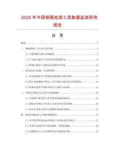 2025年中國鋼瓶檢測工具數據監(jiān)測研究報告