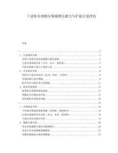 工业粘合剂细分领域增长潜力与扩能计划评估