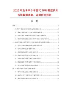 2025年及未來(lái)5年男式TPR鞋底項(xiàng)目市場(chǎng)數(shù)據(jù)調(diào)查、監(jiān)測(cè)研究報(bào)告