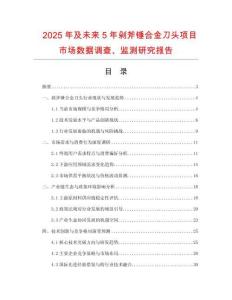 2025年及未來(lái)5年剁斧錘合金刀頭項(xiàng)目市場(chǎng)數(shù)據(jù)調(diào)查、監(jiān)測(cè)研究報(bào)告