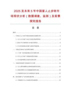 2025及未來5年中國盲人止步磚市場現狀分析（數據調查、監測）及前景探究報告