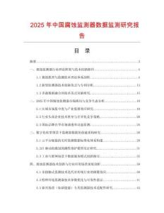 2025年中國腐蝕監測器數據監測研究報告