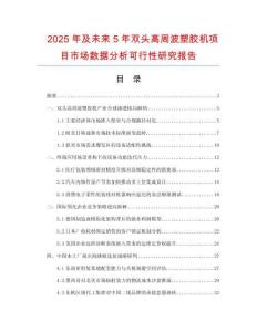 2025年及未來5年雙頭高周波塑膠機(jī)項(xiàng)目市場(chǎng)數(shù)據(jù)分析可行性研究報(bào)告