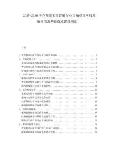 2025-2030考克斯港石油管道行業(yè)市場供需格局及緬甸能源基礎(chǔ)設(shè)施建設(shè)規(guī)劃