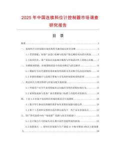 2025年中国连续料位计控制器市场调查研究报告