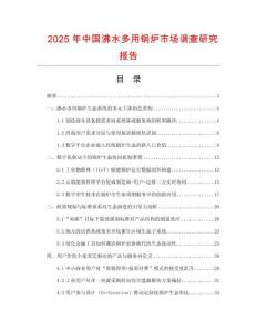 2025年中國(guó)沸水多用鍋爐市場(chǎng)調(diào)查研究報(bào)告