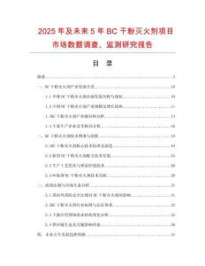 2025年及未來5年BC干粉滅火劑項(xiàng)目市場數(shù)據(jù)調(diào)查、監(jiān)測研究報(bào)告