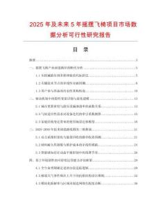 2025年及未来5年摇摆飞椅项目市场数据分析可行性研究报告