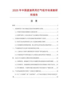 2025年中國直接兩用打氣咀市場調(diào)查研究報(bào)告