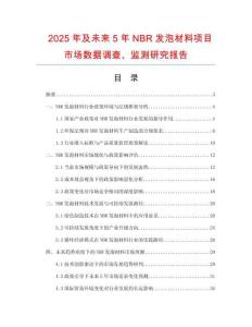 2025年及未来5年NBR发泡材料项目市场数据调查、监测研究报告