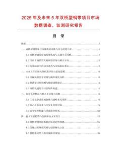 2025年及未來(lái)5年雙橋型鋼帶項(xiàng)目市場(chǎng)數(shù)據(jù)調(diào)查、監(jiān)測(cè)研究報(bào)告