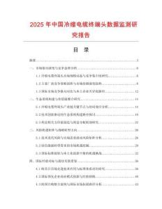 2025年中国冷缩电缆终端头数据监测研究报告