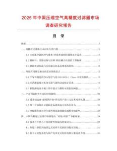 2025年中國(guó)壓縮空氣高精度過(guò)濾器市場(chǎng)調(diào)查研究報(bào)告