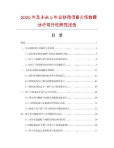 2025年及未來5年自封閥項目市場數(shù)據(jù)分析可行性研究報告