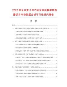 2025年及未來5年汽油發(fā)電機智能控制器項目市場數(shù)據分析可行性研究報告