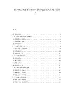 霍爾效應(yīng)傳感器行業(yè)標(biāo)桿企業(yè)運(yùn)營(yíng)模式案例分析報(bào)告