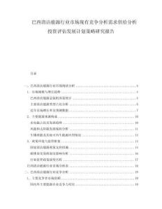 巴西清潔能源行業(yè)市場現(xiàn)有競爭分析需求供給分析投資評估發(fā)展計劃策略研究報告
