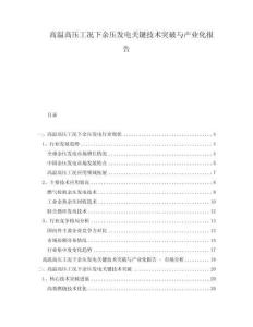 高温高压工况下余压发电关键技术突破与产业化报告