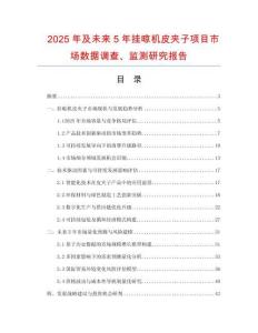 2025年及未來5年掛晾機皮夾子項目市場數據調查、監(jiān)測研究報告