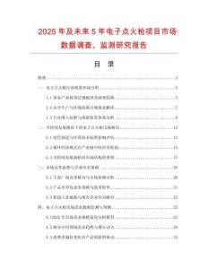 2025年及未來(lái)5年電子點(diǎn)火槍項(xiàng)目市場(chǎng)數(shù)據(jù)調(diào)查、監(jiān)測(cè)研究報(bào)告