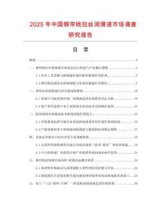 2025年中國鋼簾線拉絲潤滑液市場(chǎng)調(diào)查研究報(bào)告