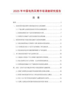 2025年中國電熱風筒市場調查研究報告