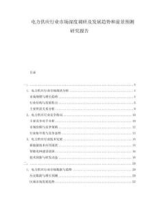 電力供應(yīng)行業(yè)市場深度調(diào)研及發(fā)展趨勢和前景預(yù)測研究報告