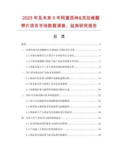 2025年及未來5年阿莫西林&克拉維酸鉀片項目市場數(shù)據(jù)調(diào)查、監(jiān)測研究報告