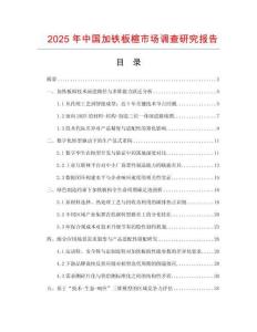 2025年中國(guó)加鐵板楦市場(chǎng)調(diào)查研究報(bào)告