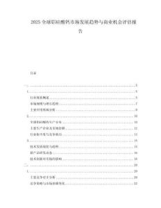 2025全球鋁硅酸鈣市場發(fā)展趨勢與商業(yè)機(jī)會(huì)評估報(bào)告