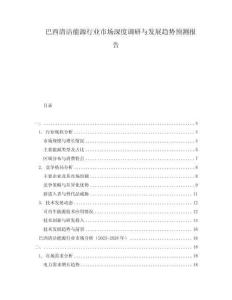 巴西清潔能源行業(yè)市場深度調(diào)研與發(fā)展趨勢預(yù)測報告