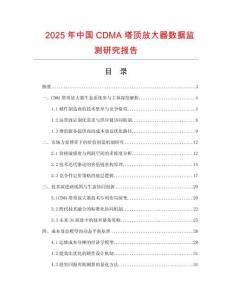 2025年中国CDMA塔顶放大器数据监测研究报告