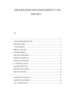電解水制氫設(shè)備降本路徑及綠氫補貼政策與產(chǎn)業(yè)基金配比報告