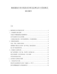 潮流服裝行業(yè)市場需求分析及品牌定位與發(fā)展模式探討報告
