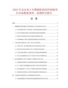 2025年及未来5年摊铺机斜度控制器项目市场数据调查、监测研究报告
