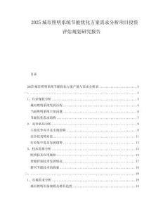 2025城市照明系统节能优化方案需求分析项目投资评估规划研究报告