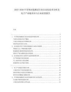 2025-2030半導(dǎo)體封裝測試行業(yè)自動化技術(shù)分析及電子產(chǎn)業(yè)鏈布局與行業(yè)前景報(bào)告