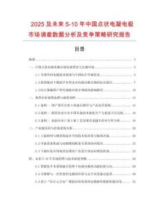 2025及未来5-10年中国点状电凝电极市场调查数据分析及竞争策略研究报告