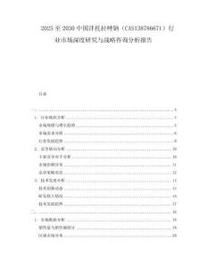 2025至2030中國泮托拉唑鈉（CAS138786671）行業(yè)市場深度研究與戰(zhàn)略咨詢分析報告