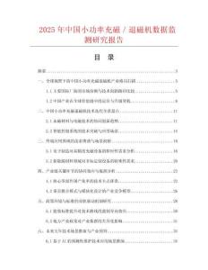2025年中國小功率充磁／退磁機(jī)數(shù)據(jù)監(jiān)測研究報(bào)告