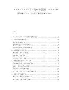 エチオピアのセメンテ業の市場需要とエネルギー効率化のための投資計畫分析レポート